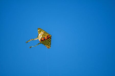 Colorful yellow kite flying on the blue sky.の写真素材
