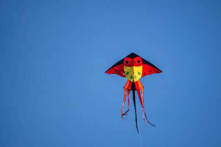 Colorful red kite flying on the blue sky.の写真素材