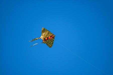 Colorful yellow kite flying on the blue sky.の写真素材
