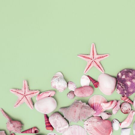 Composition of exotic seashells, oyster, starfish and lemon slices on white wooden background. Tropical summer vacation or sea food concept. Flat lay, top view. Marine designの写真素材
