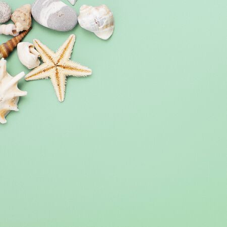 Flat lay. Top view. Frame of shells of various kinds on a green blue background. Seashells and starfish on a pastel background. Vacation conceptの写真素材
