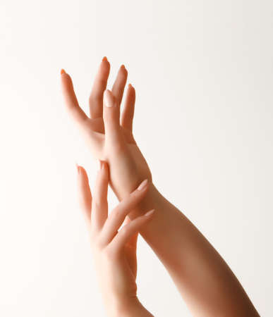 Beautiful Woman Hands. Female Hands Applying Cream, Lotion. Spa and Manicure concept. Female hands with french manicure. Soft skin, skincare concept. Hand Skin Care.の写真素材