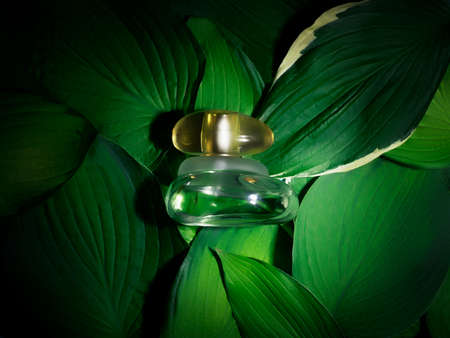 Full perfume bottle with reflections among the fresh leavesの写真素材