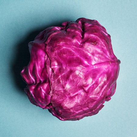 Flat lay. Top view. Minimalism. Healthy food. Red cabbageの写真素材