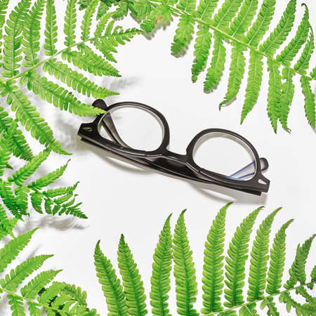 Flat lay. Top view. Stylish glasses among fern leavesの写真素材