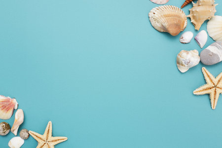 Frame of shells of various kinds on a blue backgroundの写真素材
