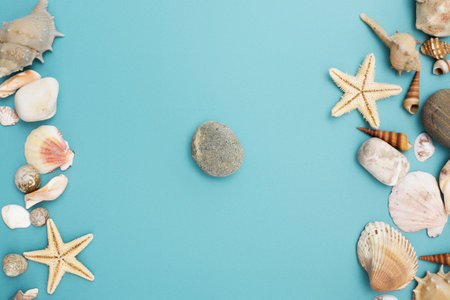 Frame of shells of various kinds on a blue backgroundの写真素材