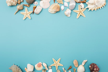 Frame of shells of various kinds on a blue background