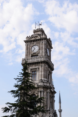 clocktower behide tree in istanbulの写真素材