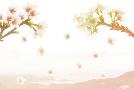 Soft focus of cherry bloom and mountian in background.の写真素材