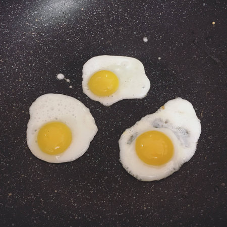 Fried Eggsの素材