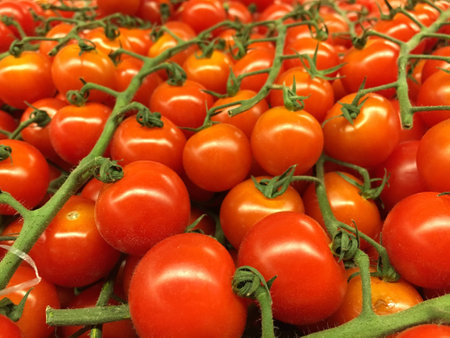 Tomatoesの素材