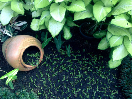 A garden with beautifully planted pots.の写真素材