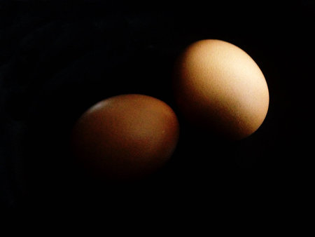 Several eggs on a black background