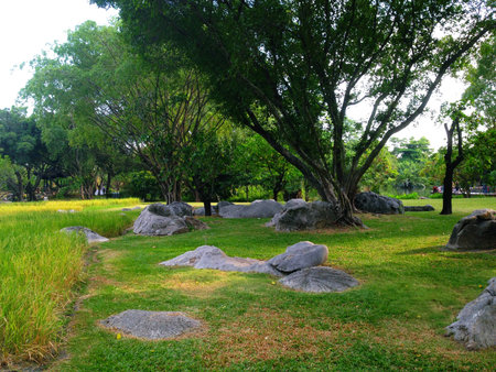 Rock garden and surrounded by beautiful nature.の写真素材