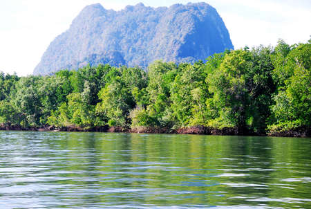 In the midst of nature and the vast river, there are many small islands around.の写真素材