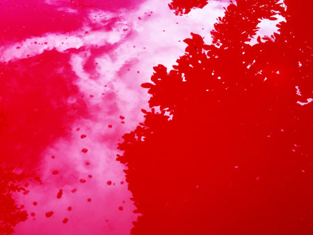 Reflections on the trees and the sky from the bonnet of the red car.の写真素材