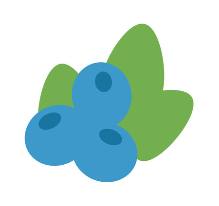 Blueberry with leavesのイラスト素材
