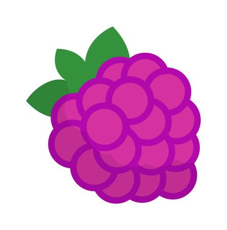 Raspberries fruit iconのイラスト素材