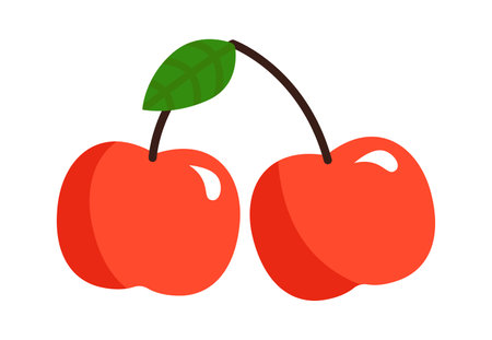 Cherry fruit. Healthy Foodのイラスト素材