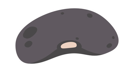 Haricot flat icon Agriculture Plants cultivationのイラスト素材