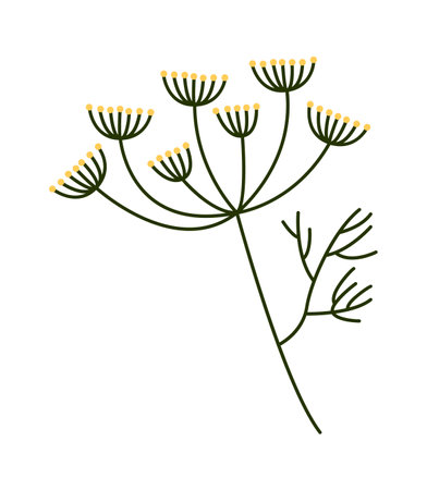 Fragrant dill flower flat icon Green herb Agricultureのイラスト素材