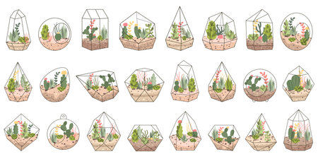 Terrarium for plants flat icons set. Small and enclosed environment for cactus, succulent, aloe vera. Mini-greenhouseのイラスト素材