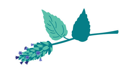 Dry mint plant flat icon Decor for foodのイラスト素材