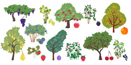 Fruit trees and berry bushes flat icons set. Fresh organic tasty cherry, strawberry, apricot, blackberry and blueberryのイラスト素材