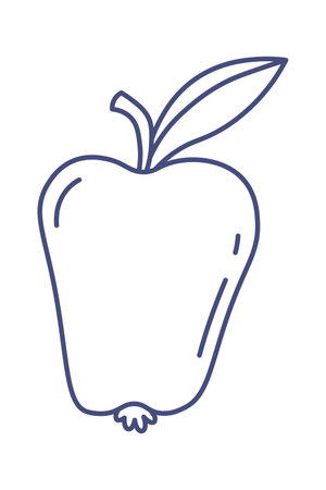 Apple fruit for teacher line iconのイラスト素材