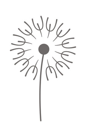 Dandelion fluffy flower flat icon Floral designのイラスト素材