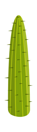 Cacti plant flat illustration Mexican desert treeのイラスト素材