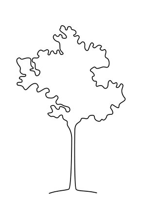 Drawing doodle tree in line artのイラスト素材