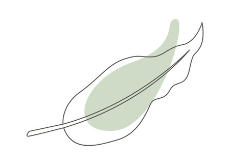 Monstera leaf of tropical plant in line art with green blotのイラスト素材