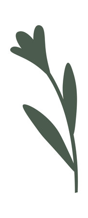Plant flat illustration Decorative flowers and houseplantsのイラスト素材
