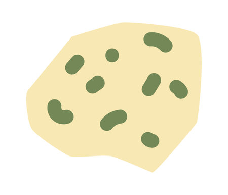 Piece of gorgonzola cheese flat illustration Ingredient for pizzaのイラスト素材