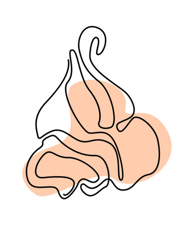 Swirl of soft-serve ice cream in color spotのイラスト素材