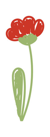 Drawing spring poppy flower in pencilのイラスト素材