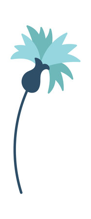 Cornflower flower arrangementのイラスト素材