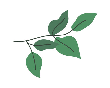 Green branches for decor bouquetsのイラスト素材