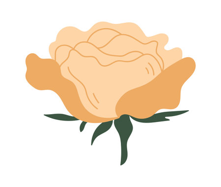 Decorative rose for bouquetのイラスト素材