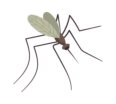 Small flying mosquito insectのイラスト素材