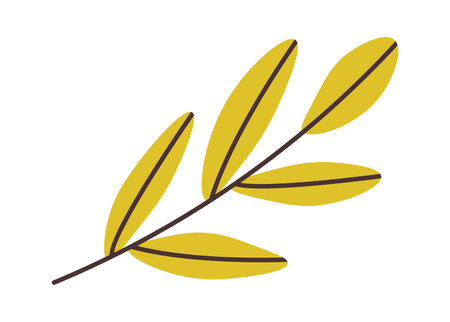 Branch of treeのイラスト素材