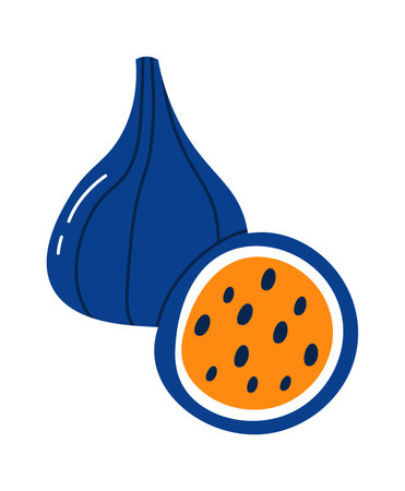 Exotic fig fruitのイラスト素材