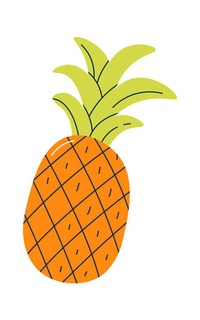 Pineapple exotic tropical fruitのイラスト素材