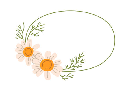 Chamomile Flowers Oval Frameのイラスト素材