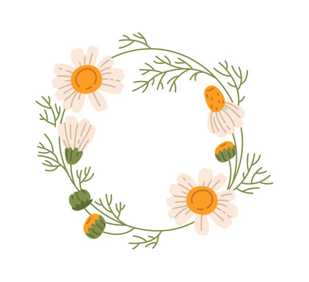 Chamomile Flowers Round Frameのイラスト素材