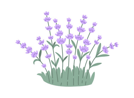 Lavender Flowers Lawnのイラスト素材