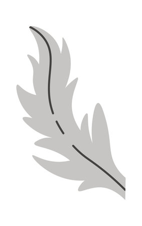 Poppy flower leafのイラスト素材