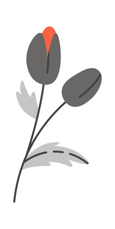 Poppy bud flowerのイラスト素材